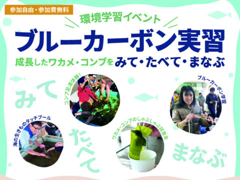 イベント名：環境学習イベント　ブルーカーボン実習