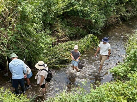 イベント名：水辺の生きもの観察会 ～水辺のすみかでともだちを見つけよう！