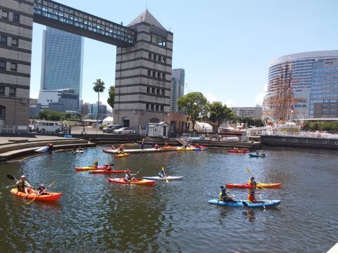 イベント名：ゴールデンウィーク特別開催！日本丸シーカヤック体験会