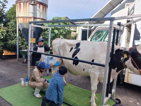 イベント名：相鉄線沿線 学びクラブ with EXPO 酪農体験