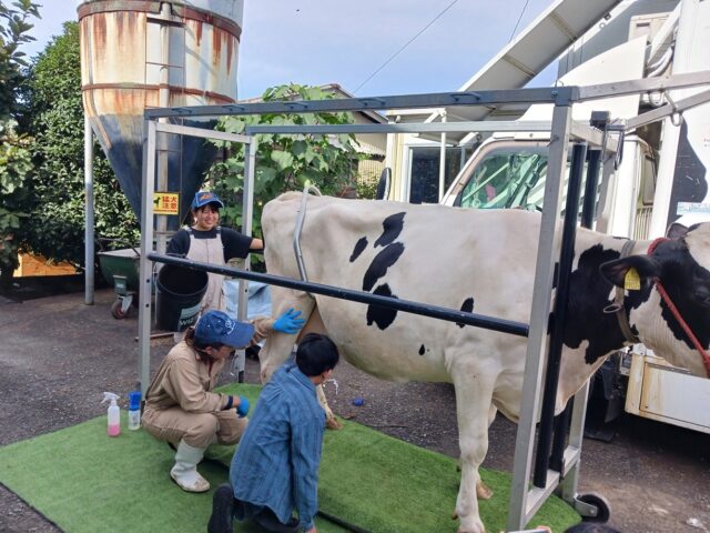 イベント名：相鉄線沿線 学びクラブ with EXPO 酪農体験
